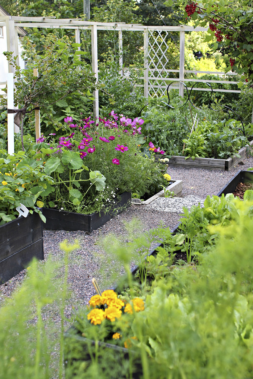 pergola Accoya-puusta